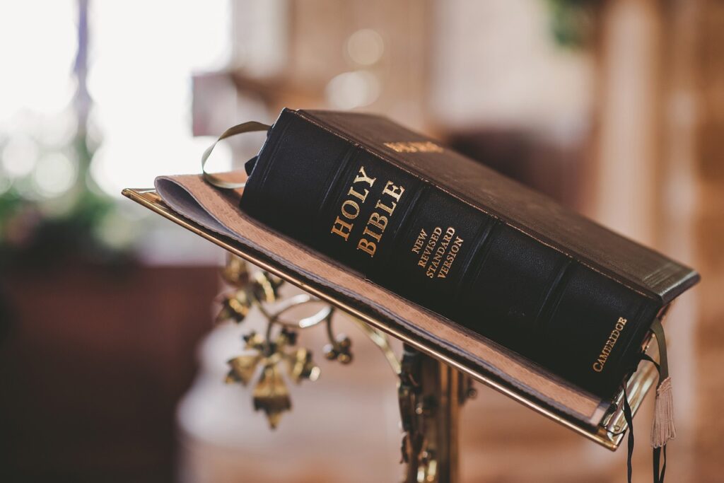 bible, church, wedding, christian, catholic, worship, pray, faith, holy, jesus, religion, catholicism, life, cross, book, gospel, bible, bible, bible, bible, bible, church, jesus-2110439.jpg